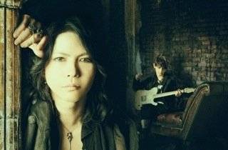 VAMPS